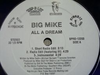 BIG MIKE "ALL A DREAM" (12INCH)