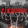 C.I.N.SATIONAL MOBSTAS "THE DEVIL RUNS MY CITY" (NEW CD)
