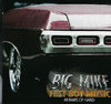 BIG MIKE "FAST BOY MUSIC" (NEW CD)